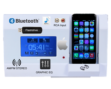 Load image into Gallery viewer, Intrasonic I600-BASICPAC Complete Home Stereo Package